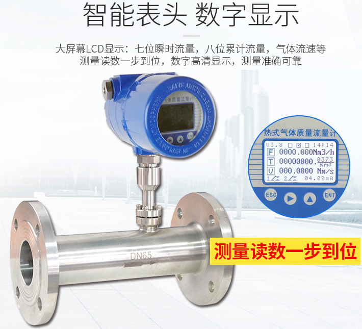 氫氣流量計(jì)液晶表頭顯示圖